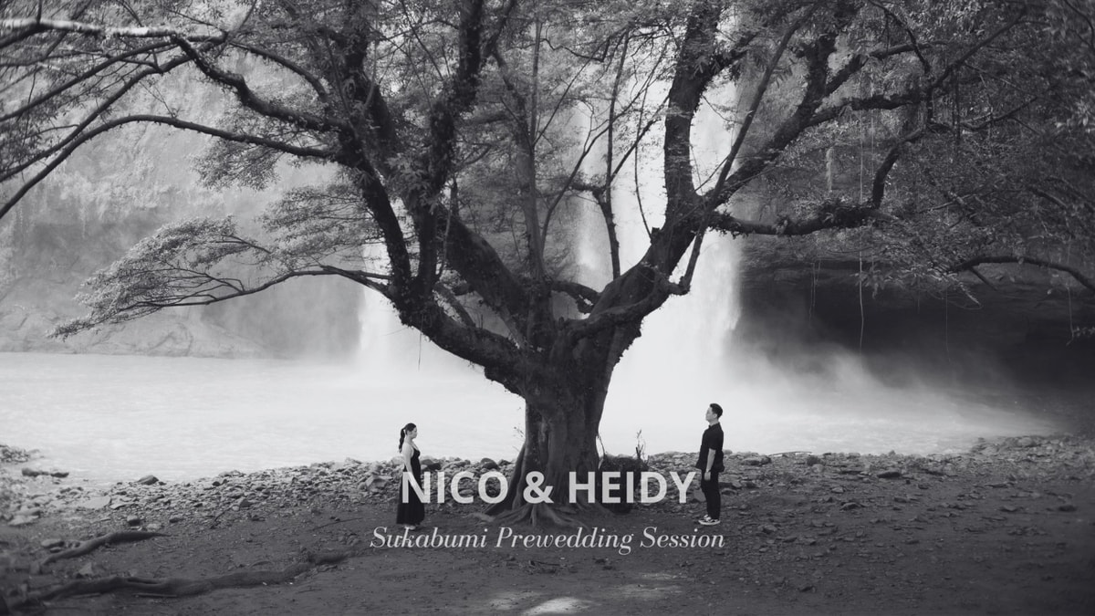 nico & heidy