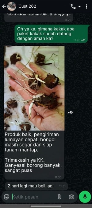 -
