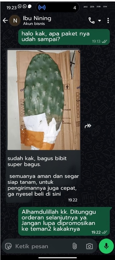 -