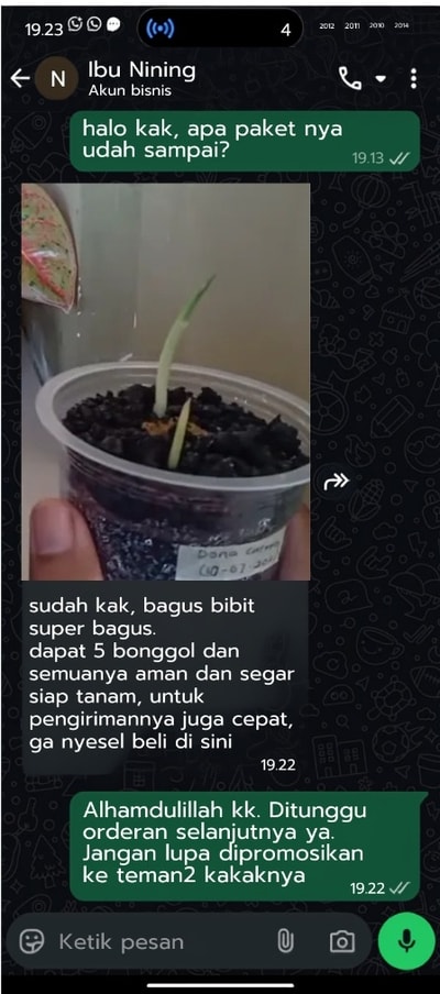 -