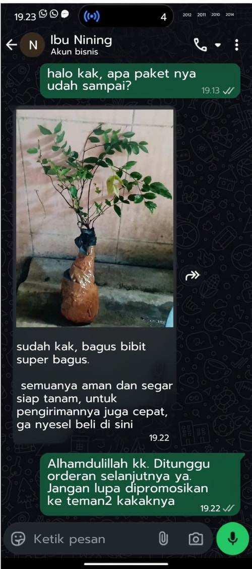 -
