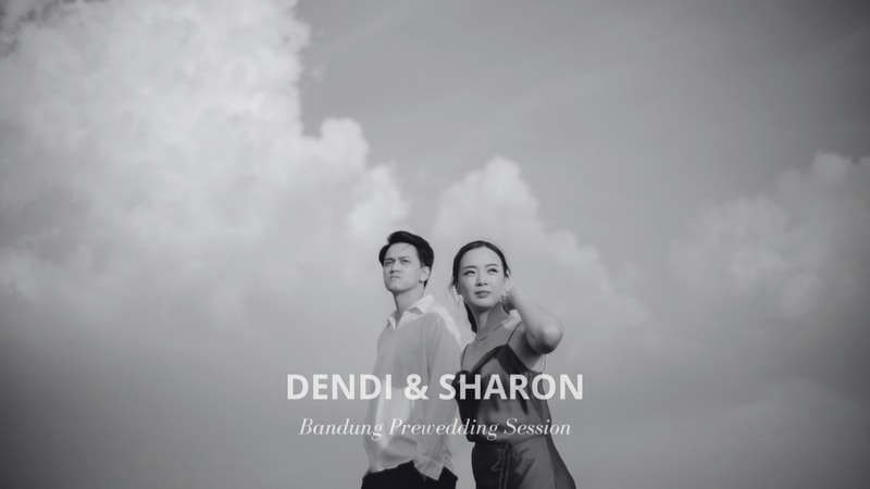 dendi & sharon
